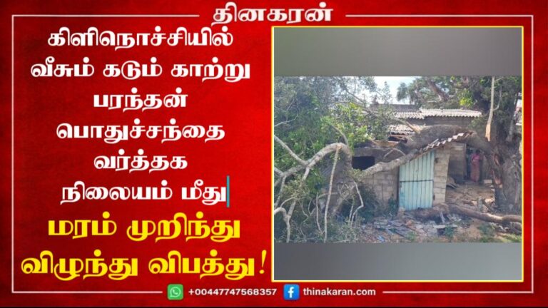 கிளிநொச்சியில் வீசும் கடும் காற்று! பரந்தன் பொதுச்சந்தை வர்த்தக நிலையம் மீது மரம் முறிந்து விழுந்து விபத்து!
